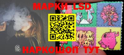 индика Лесосибирск