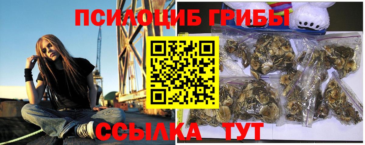Саяногорск  Галлюциногенные грибы мухоморы  Псилоцибиновые грибы мухоморы  Вход с VPN 